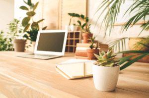photo d'un bureau en bois clair avec à partir de la droite : une plante haute, un ordinateur portable, derrière un meuble en bois clair avec des casier et des plantes en pots, à côté du PC un carnet ouvert et un crayon de bois et un pot en céramique blanc avec une plante grasse