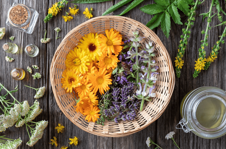 photo d'une panière avec des plantes à gauches du thym et à droites des fleurs de calendula