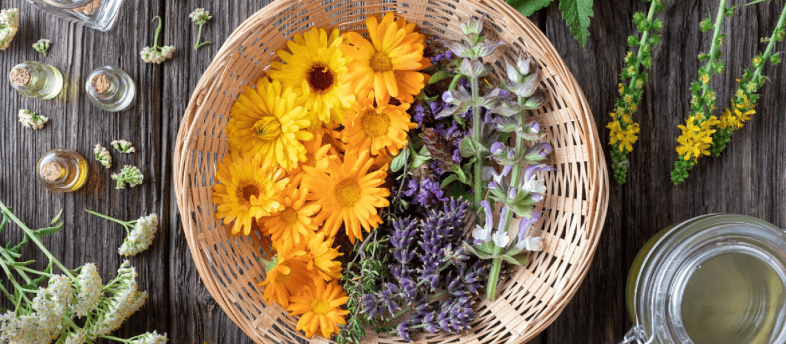 sophrologie-naturopathie-plantes photo d'une panière avec des plantes à gauches du thym et à droites des fleurs de calendula