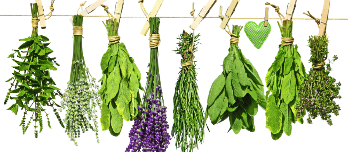sophrologie-naturopathie-bouquet-plantes photos de plantes suspendues à un fil. Chaque plante est accrochée par les tiges avec un épingle à linge en bois